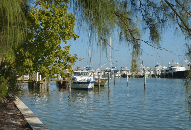 Boats docked on Sarasota Bay