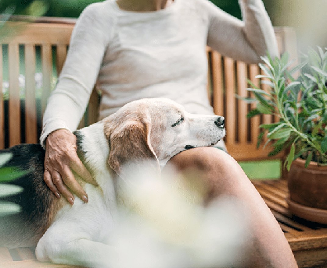 Plymouth Harbor on Sarasota Bay: Senior Woman Sitting with a Senior Dog with the Dog's Head Resting on Her Lap