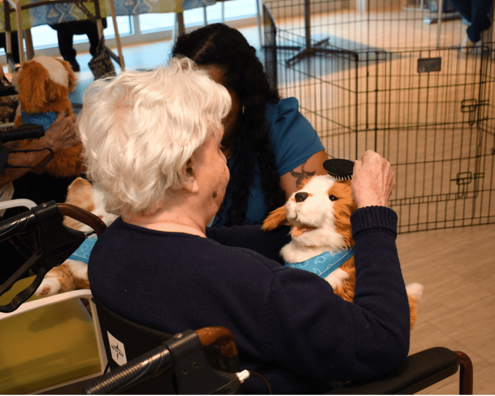 Resident brushing a robotic dog
