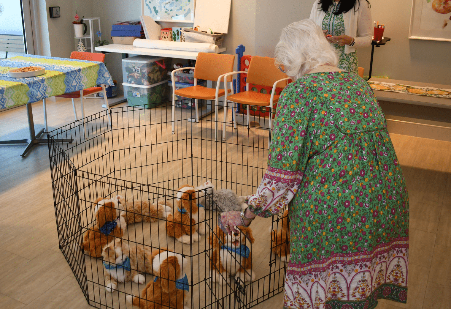 Resident looks down on a group of robotic dogs in a kennel